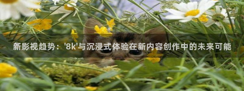 麥田影視官網下載